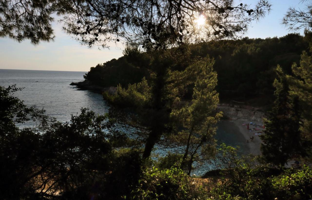 Elda Διαμέρισμα Πούλα Εξωτερικό φωτογραφία